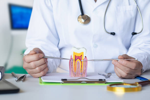 Best Mobile Emergency Dentist in USA